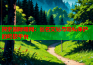 探索国际暗网：匿名交易与隐私保护的终极平台