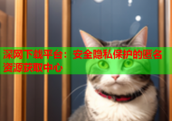 深网下载平台：安全隐私保护的匿名资源获取中心
