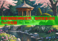 探索暗网的神秘世界，如何安全访问Tor浏览器