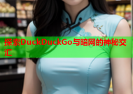 探索DuckDuckGo与暗网的神秘交汇