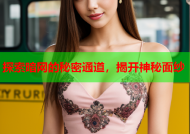 探索暗网的秘密通道，揭开神秘面纱