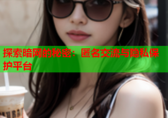 探索暗网的秘密：匿名交流与隐私保护平台