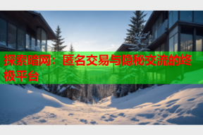 探索暗网：匿名交易与隐秘交流的终极平台