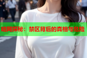 暗网探秘：禁区背后的真相与危险