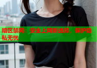 暗区禁网：安全上网新选择，保护隐私无忧