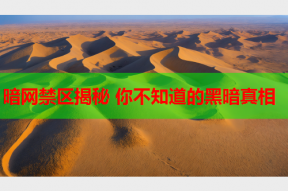 暗网禁区揭秘 你不知道的黑暗真相