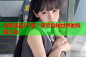 暗网禁区PC版：探索隐秘世界的终极工具