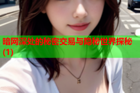 暗网深处的秘密交易与隐秘世界探秘(1)
