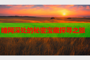 暗网深处的秘密宝藏探寻之旅