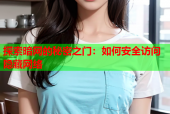 探索暗网的秘密之门：如何安全访问隐藏网络