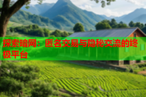 探索暗网：匿名交易与隐秘交流的终极平台