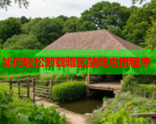 如何轻松卸载暗区禁网应用程序  第1张