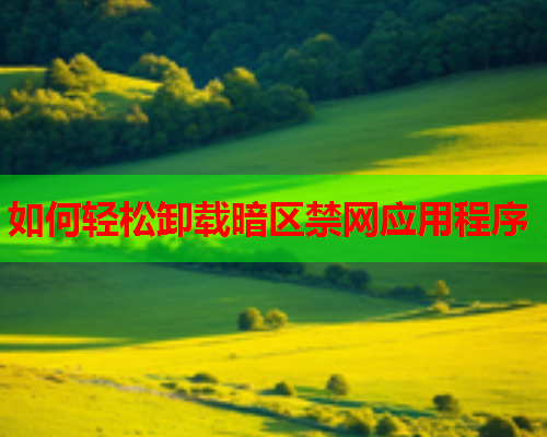 如何轻松卸载暗区禁网应用程序  第2张