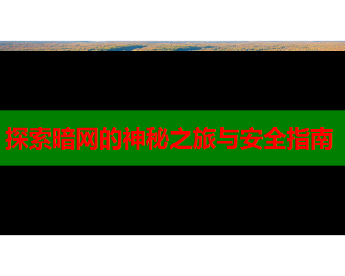 探索暗网的神秘之旅与安全指南  第1张