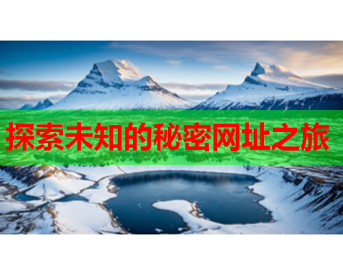 探索未知的秘密网址之旅  第2张
