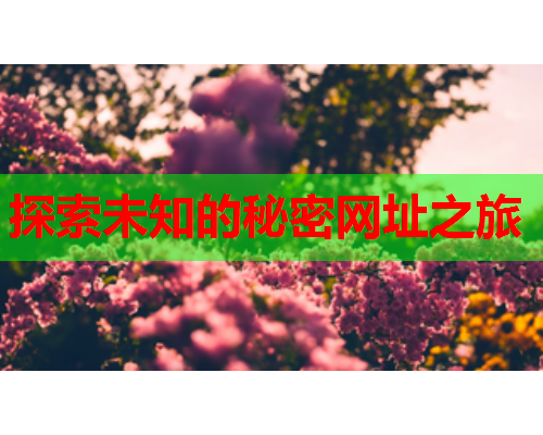 探索未知的秘密网址之旅  第1张