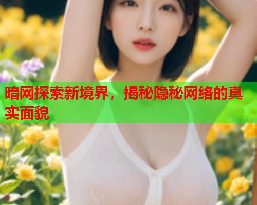暗网探索新境界，揭秘隐秘网络的真实面貌  第1张