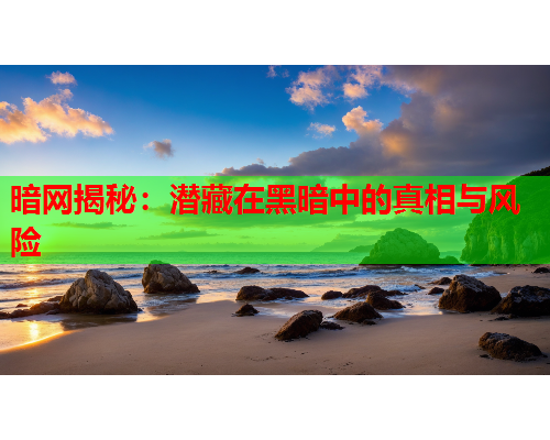 暗网揭秘：潜藏在黑暗中的真相与风险  第1张