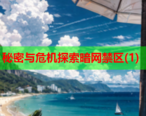 秘密与危机探索暗网禁区(1)  第2张