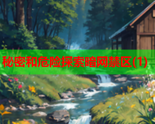 秘密和危险探索暗网禁区(1)  第1张