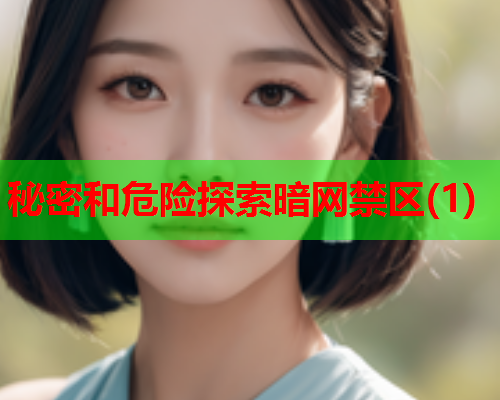 秘密和危险探索暗网禁区(1)  第3张