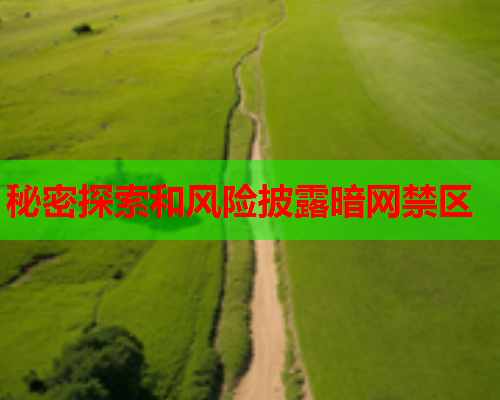 秘密探索和风险披露暗网禁区  第2张