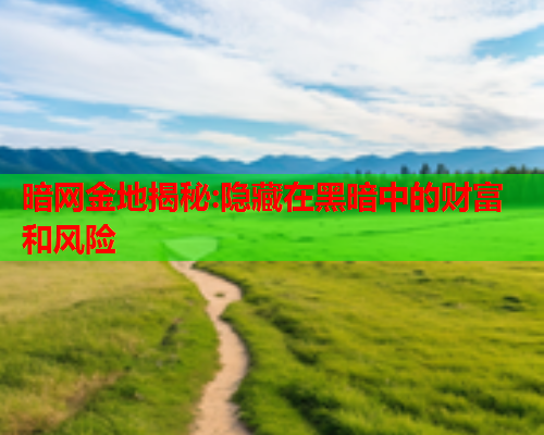 暗网金地揭秘:隐藏在黑暗中的财富和风险  第2张