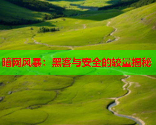 暗网风暴：黑客与安全的较量揭秘  第2张