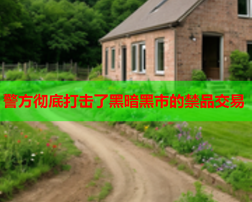 警方彻底打击了黑暗黑市的禁品交易  第3张
