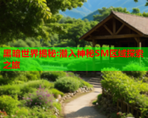 黑暗世界揭秘:潜入神秘SM区域探索之旅  第2张