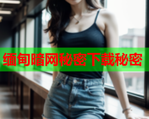 缅甸暗网秘密下载秘密  第1张