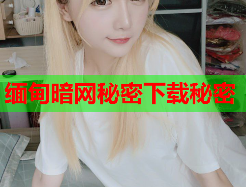 缅甸暗网秘密下载秘密  第2张