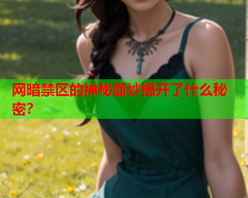网暗禁区的神秘面纱揭开了什么秘密？  第3张