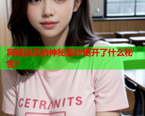 网暗禁区的神秘面纱揭开了什么秘密？  第2张