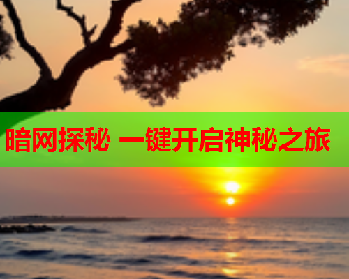 暗网探秘 一键开启神秘之旅  第1张