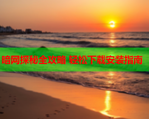 暗网探秘全攻略 轻松下载安装指南  第1张