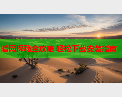 暗网探秘全攻略 轻松下载安装指南  第2张