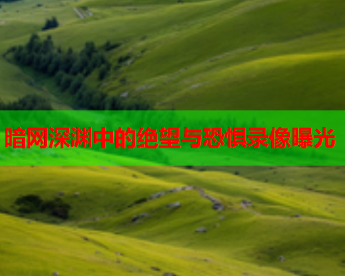 暗网深渊中的绝望与恐惧录像曝光  第1张