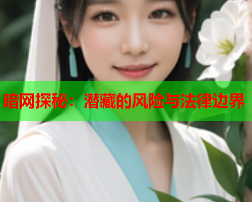 暗网探秘：潜藏的风险与法律边界  第1张
