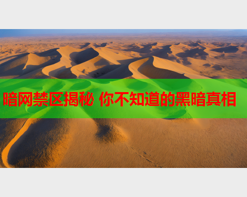 暗网禁区揭秘 你不知道的黑暗真相  第1张
