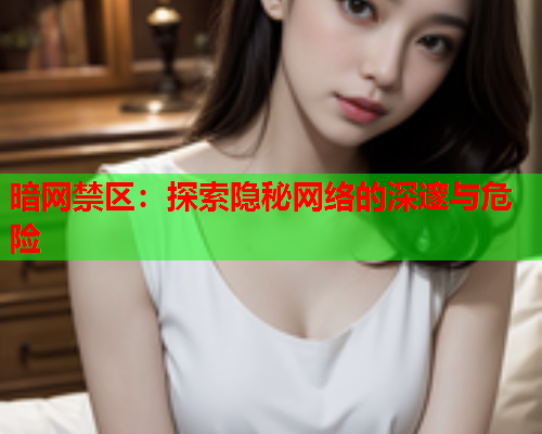 暗网禁区：探索隐秘网络的深邃与危险  第1张