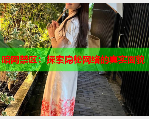 暗网禁区：探索隐秘网络的真实面貌  第1张