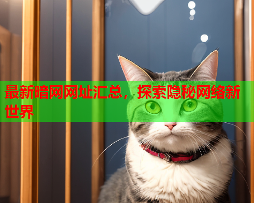 最新暗网网址汇总，探索隐秘网络新世界  第2张