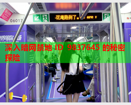 深入暗网禁地 ID 9837645 的秘密探险  第2张