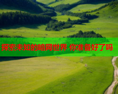 探索未知的暗网世界 你准备好了吗  第1张