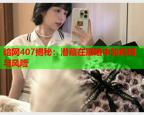 暗网407揭秘：潜藏在黑暗中的真相与风险  第2张