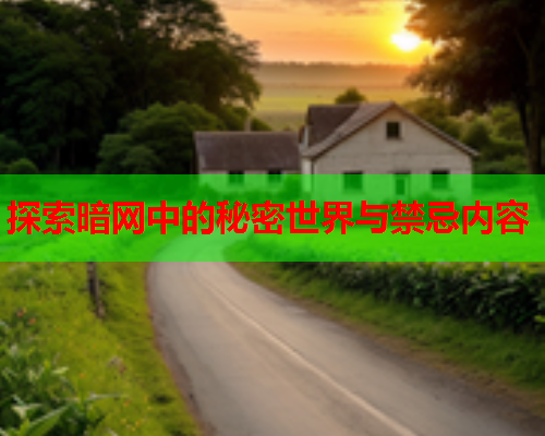 探索暗网中的秘密世界与禁忌内容  第2张