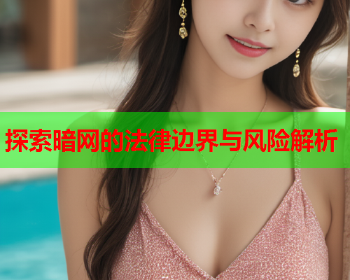 探索暗网的法律边界与风险解析  第1张