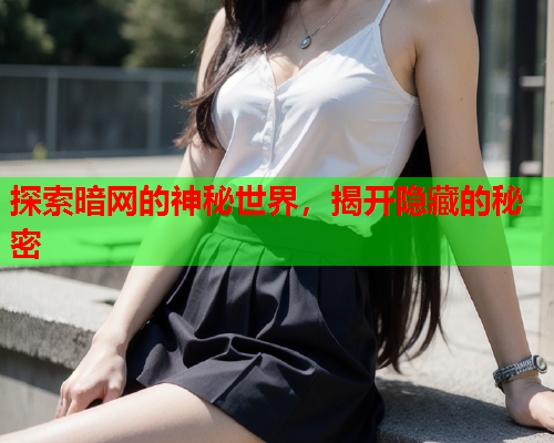 探索暗网的神秘世界，揭开隐藏的秘密  第1张