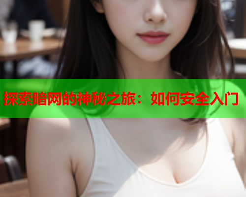 探索暗网的神秘之旅：如何安全入门  第2张